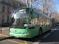 Autobuses